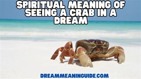 The Biblical Meaning of Small Crabs Crawling All Over Me in a Dream